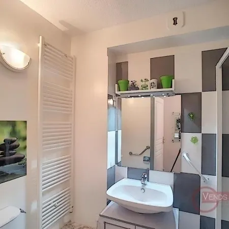 Bel F2 Climatise A 400m Du Centre, Wifi, Animaux Acceptes - Fr-1-451-22 Daire Lamalou-les-Bains