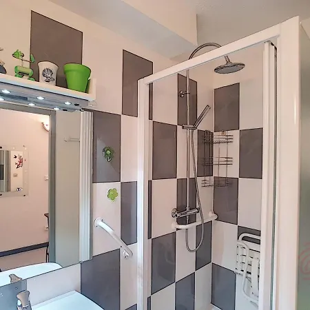 Apartment Bel F2 Climatise A 400m Du Centre, Wifi, Animaux Acceptes - Fr-1-451-22 *