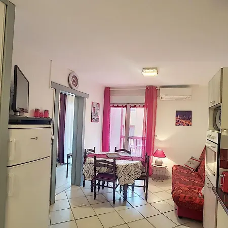 Apartment Bel F2 Climatise A 400m Du Centre, Wifi, Animaux Acceptes - Fr-1-451-22