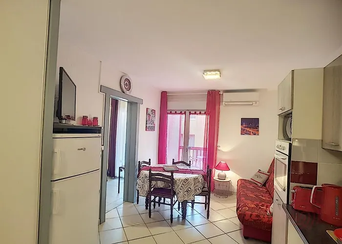 Διαμέρισμα Bel F2 Climatise A 400m Du Centre, Wifi, Animaux Acceptes - Fr-1-451-22