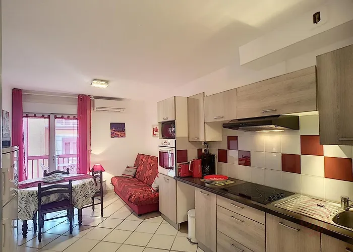 Bel F2 Climatise A 400m Du Centre, Wifi, Animaux Acceptes - Fr-1-451-22 * Lamalou-les-Bains